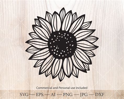 Download 337+ Skeleton Sunflowers Silhouette